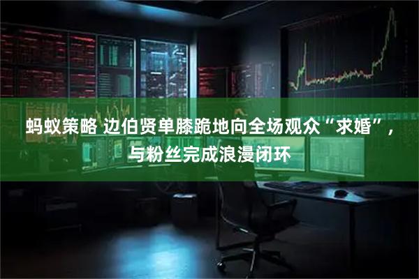 蚂蚁策略 边伯贤单膝跪地向全场观众“求婚”，与粉丝完成浪漫闭环